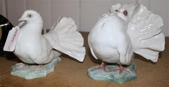 Rosenthal doves